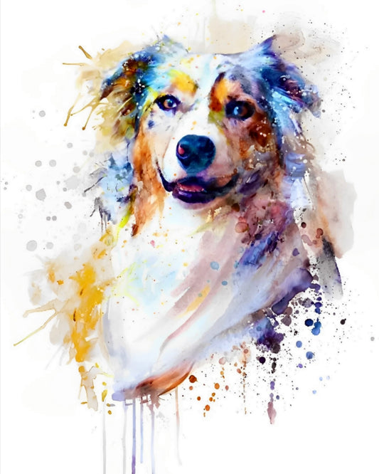 Peinture par numéros Tête de chien