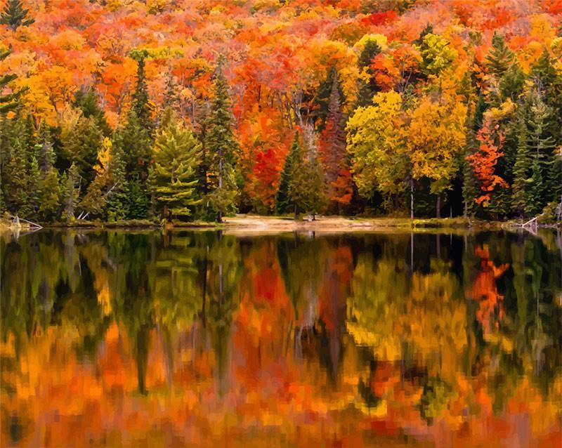 Petit bois au bord du lac Peinture par numéros