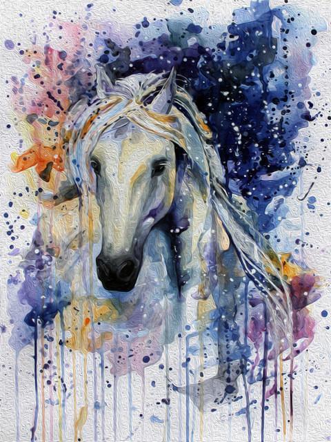 Horse Paint by Numbers