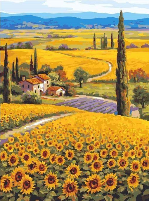 Champ de tournesols  Peinture par numéros