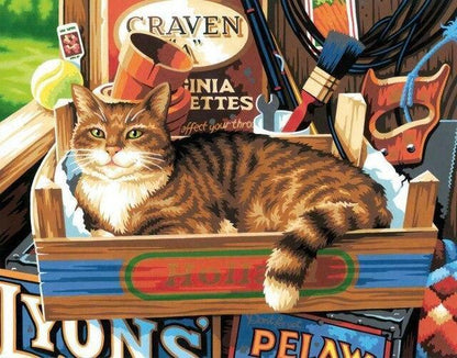 The Cat and Her Home Paint by Numbers