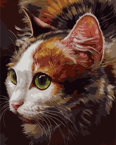 Calico Cat Paint by Numbers