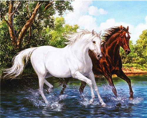 Chevaux blancs et jaunes - Peinture par numéros