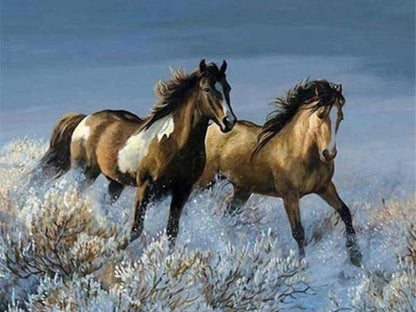Galloping Horse Paint by Numbers