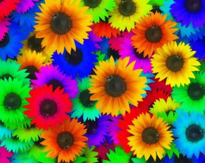 Mer de fleurs à peindre par numéros