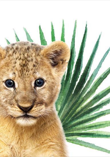 Petit tigre Peinture par numéros