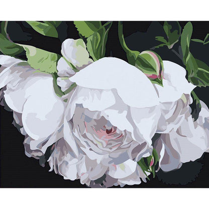Fleurs blanches à peindre par numéros