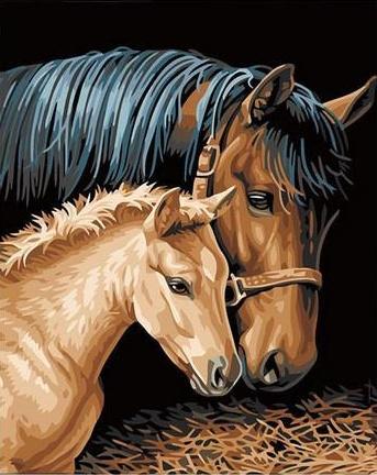 Cheval Peinture par numéros