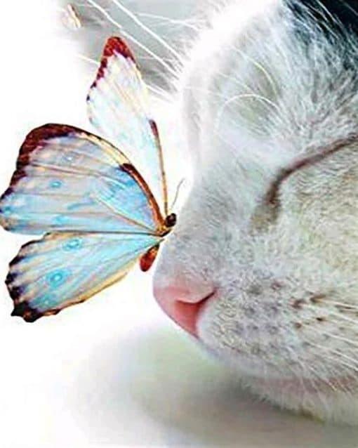 Butterfly and Cat Paint by Numbers