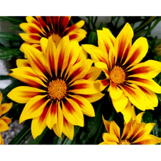 Yellow Flower Paint by Numbers