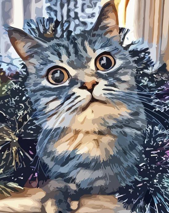 Cat   Paint by Numbers