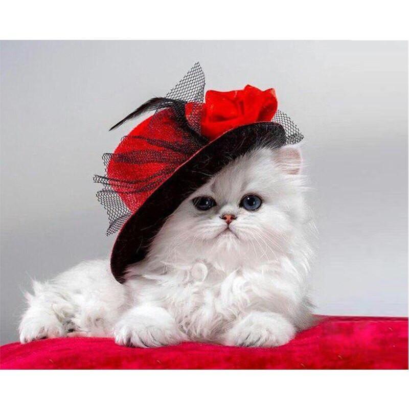White Cat Paint by Numbers