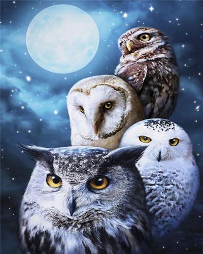 Owl Paint by Numbers