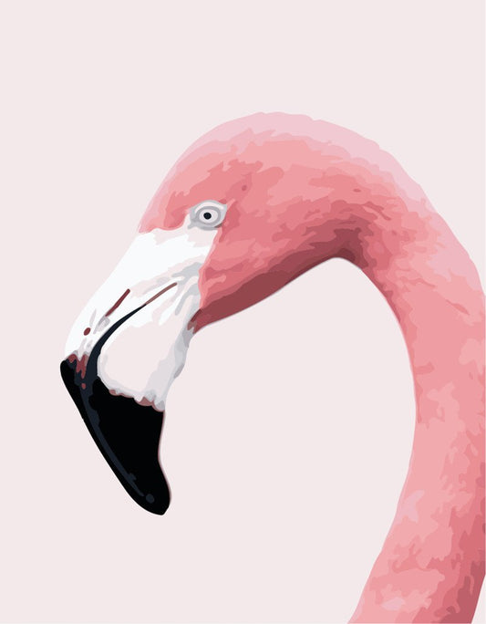 Pink bird neck Paint by Numbers