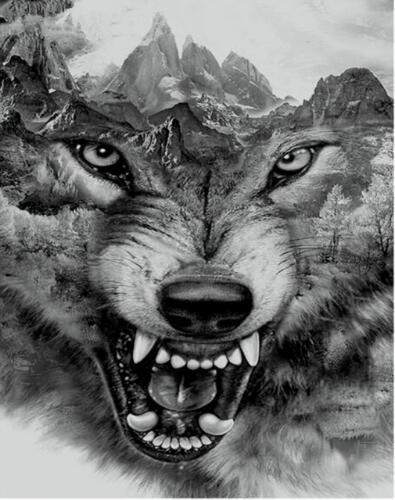 Wolf Head Paint by Numbers