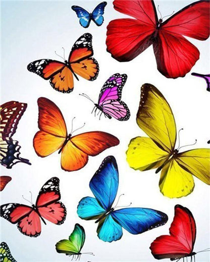 Papillon Peinture par numéros