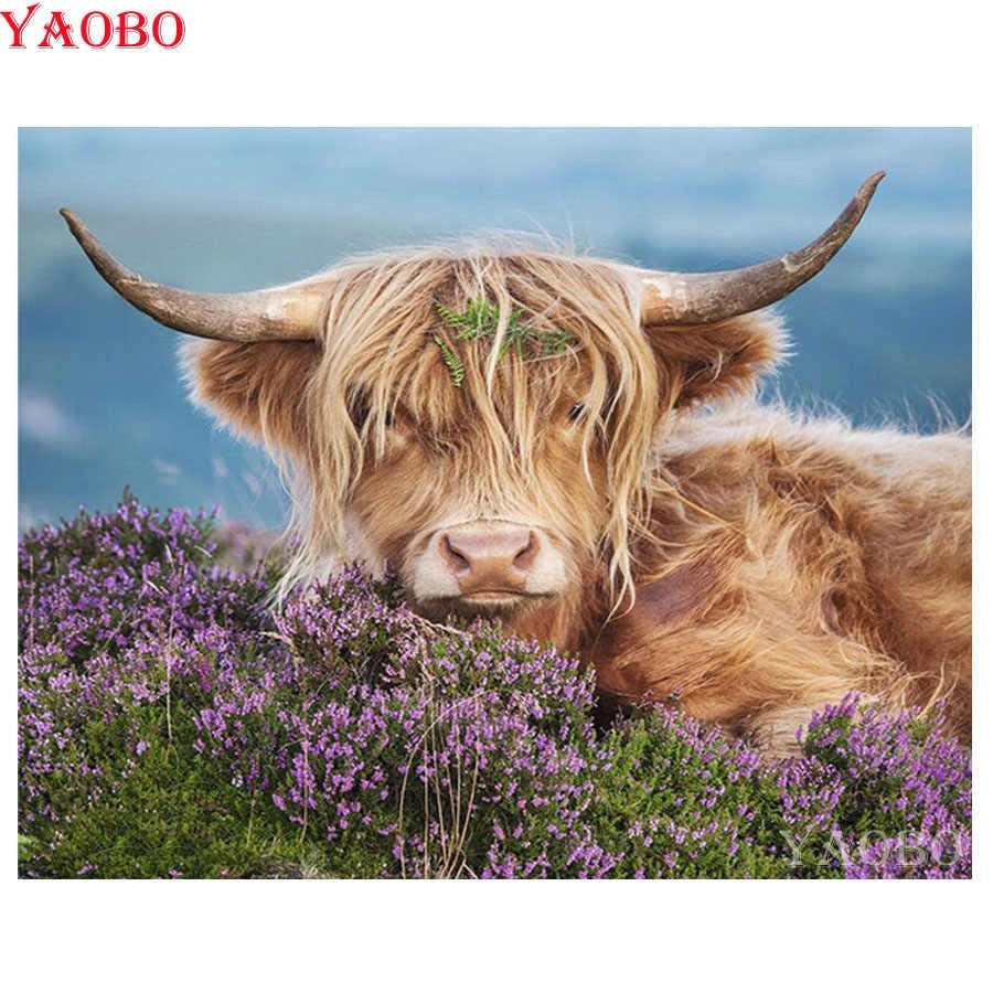 Tête de taureau  Peinture par numéros