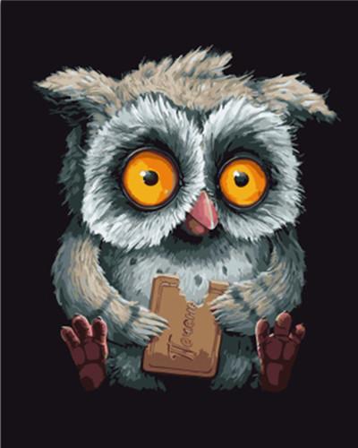 Owl   Paint by Numbers