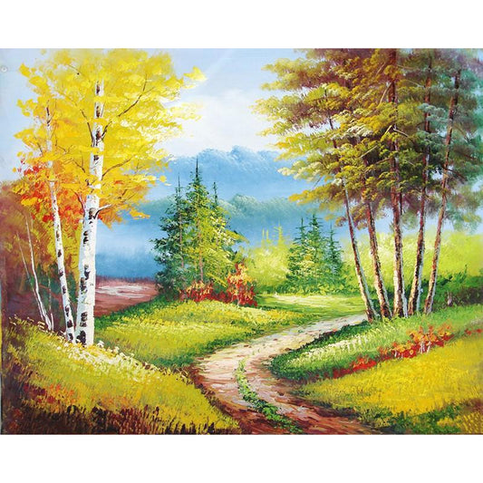 Country Road   Painting by Numbers