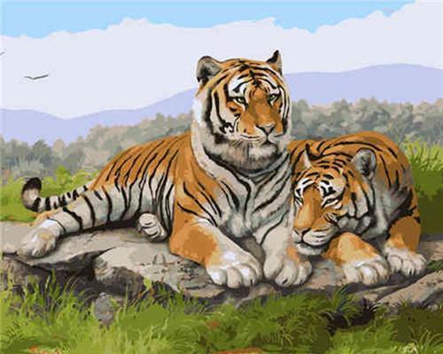 Deux tigres — Peinture par numéros