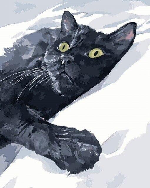 Chat du peintre au numéro