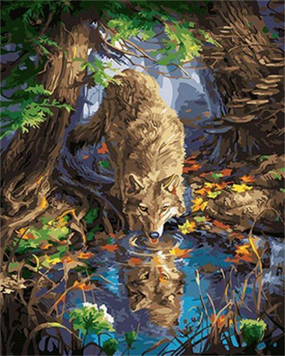 Wolf Drinks Water Paint by Numbers