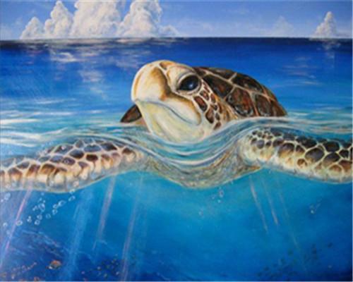 Sea Turtle Paint by Numbers
