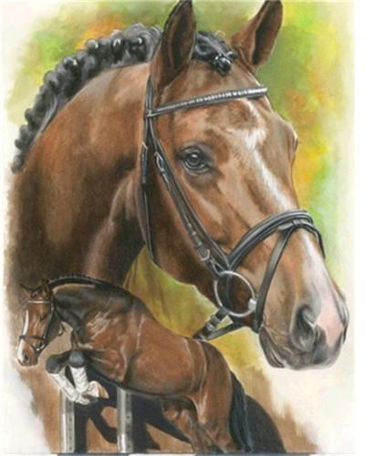 Horse Head Paint by Numbers
