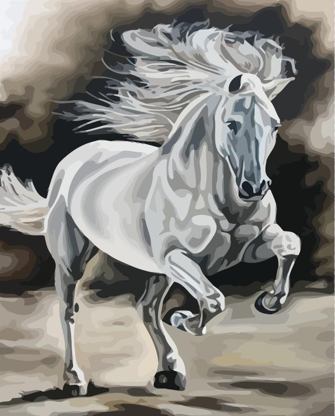 Cheval blanc Peinture par numéros