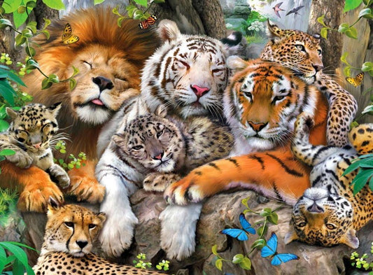 Cats Paint by Numbers