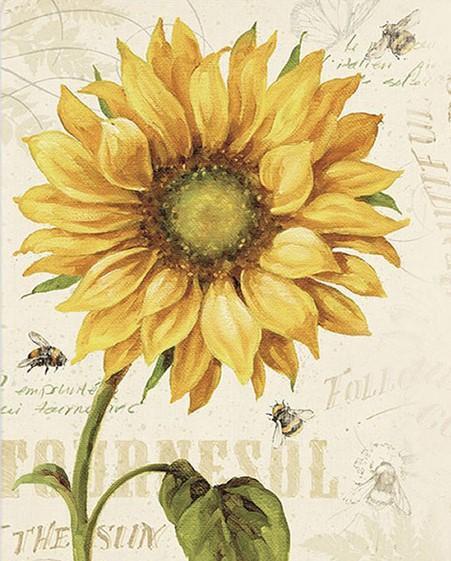 Tournesol Peinture par numéros