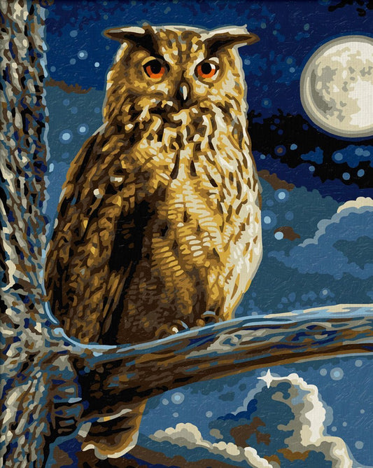 Owl Paint by Numbers