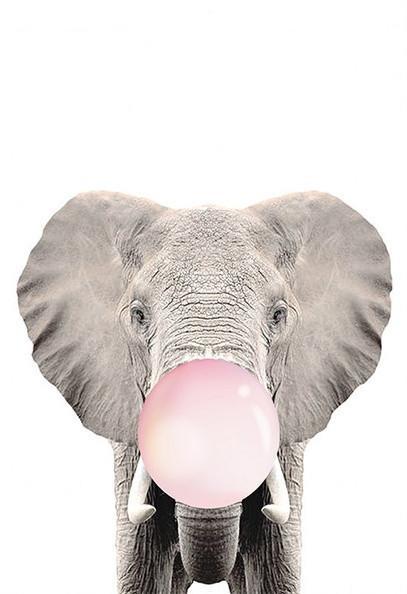 Éléphant Peinture par numéros