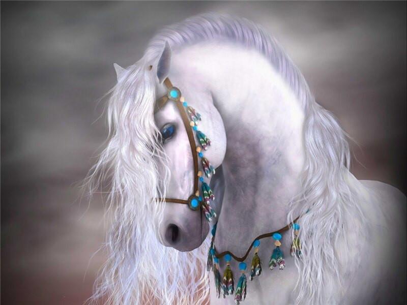 Cheval blanc  Peinture par numéros