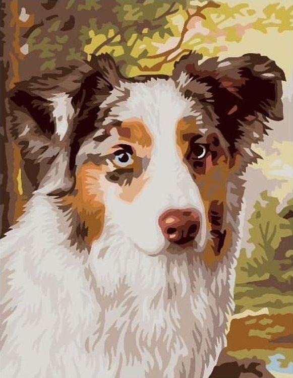 Chiot à peindre par numéros
