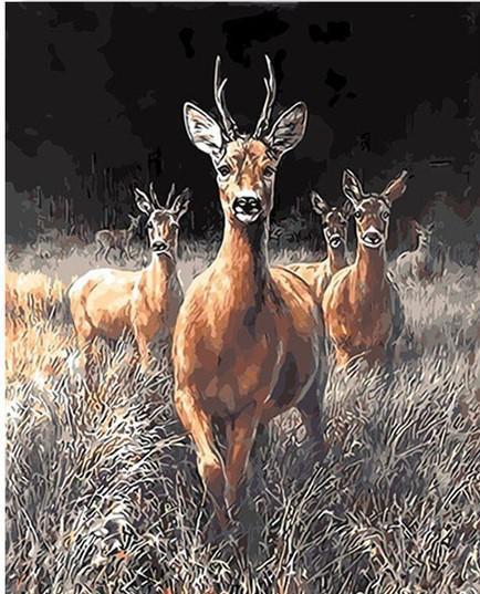 Cerf Sika - Peinture par numéros