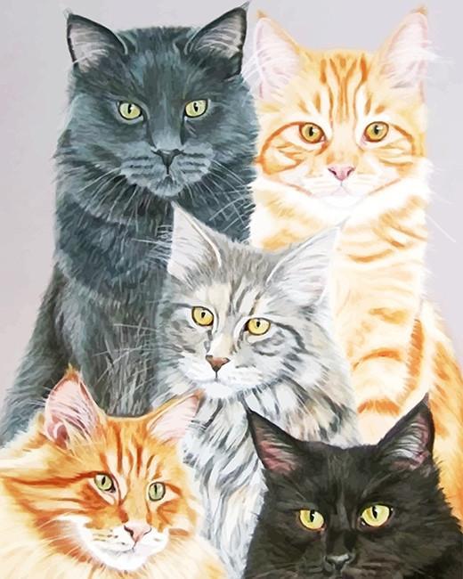 Cinq chatons Peinture par numéros