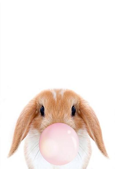 Un lapin gonfle un ballon    Peinture au numéro