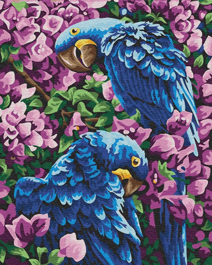 Thrush Paint by Numbers