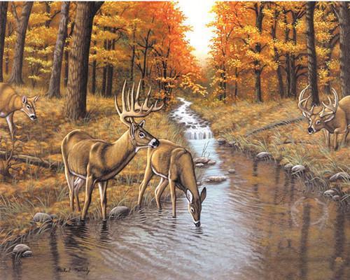 L'eau potable des cerfs sika   Peinture par numéros