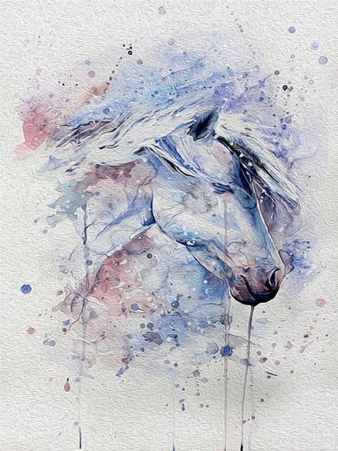 Horse   Paint by Numbers