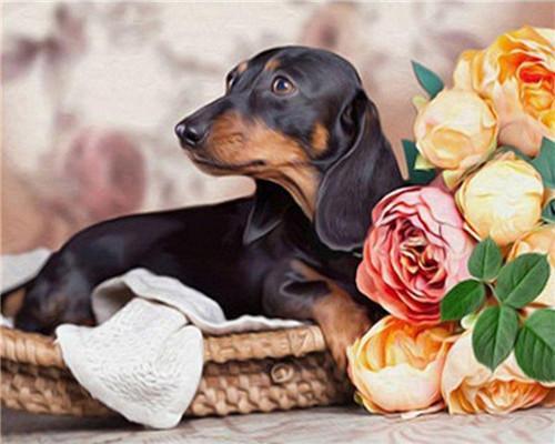 Puppy Paint by Numbers