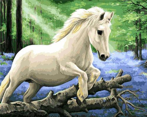 Cheval blanc  Peinture par numéros