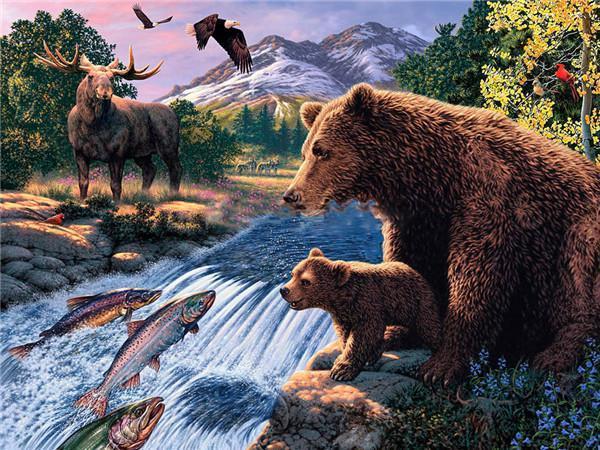 Black Bear Paint by Numbers