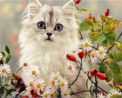 Cat Paint by Numbers