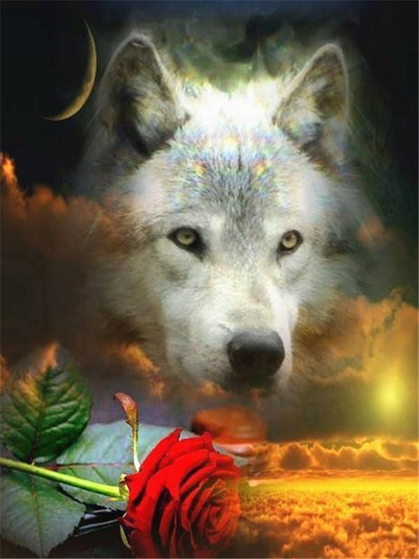 Wolf Paint by Numbers